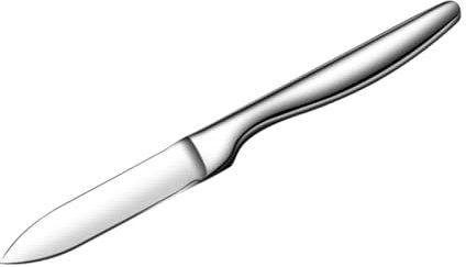 Cabilock Coltello Per Ostriche in Acciaio Inossidabile Apriscatole Per Ostriche Per Uso in Ristoranti Di Famiglia Apriscatole Per Di Mare