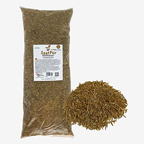 SaatPur® Rasensamen Schattenrasen 1kg für ca. 30 m², Mehrjährige Rasemischung aus mehreren Rasenarten, meistens 4 bis 5, satt grün, schnellkeimend, hitzetolerant, Neusaat und Nachsaat