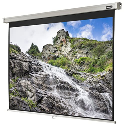 Celexon Leinwand Rollo Professional 300 x 225 cm