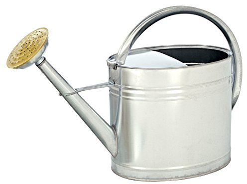 Dehner Gießkanne nostalgisch, oval, 9 l, ca. 53 x 40 x 21 cm, Zink, silber