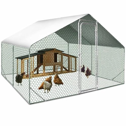 IDMarket - Hühnerstall 9m² Maschendrahtzaun 3x3 m Stahl verzinkt