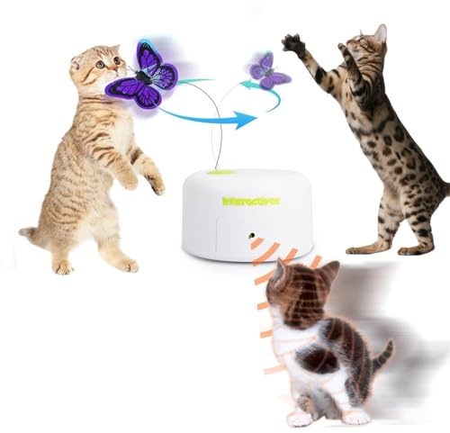 ALL FOR PAWS Interactives Cat Teaser Toy Flutter Bug Cat Wand Toy Fun Playing Toys Kitten Toys with Shiny Butterfly