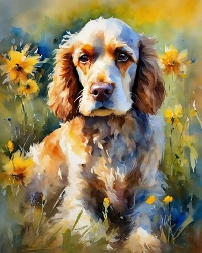 ZMHZMY Malen nach Zahlen Cocker Spaniel Painting by Numbers Kit DIY ölgemälde Kit für Erwachsene,Anfänger Painting Set 16x20 Zoll Leinwanddruck Wandkunst Dekoration