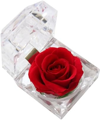 OKUMEYR 1stücke Infinity Konservierte Eternal Rose Ewige Eleganter Geschenkbox Konservierte Blume Für Valentinstag Geburtstag Und Jubiläum Romantisches Für Frauen Rot
