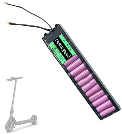 TGHY Batteria al Litio Ricaricabile da 36 V e 7,8 Ah per monopattini elettrici, Skateboard e Hoverboard da 280,8 W o Meno, Accessorio di Ricambio