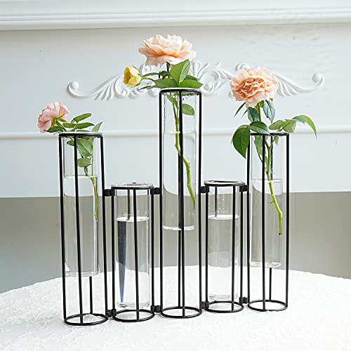 Test Tube Vase for Flowers, Set of 5 Glass Vase with Metal Swivel Holder, Black Flower Vase for Hydroponics, Hinged Propagation Plant Vase for Wedding Table Home Decor