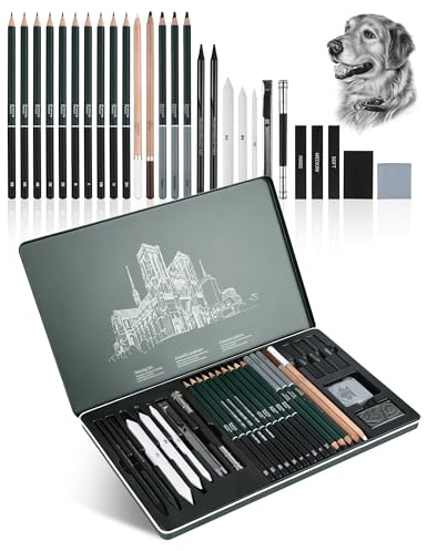 Set disegno 27 pezzi, kit disegno professionale, include matite, matite a carboncino e altri accessori, versatile set matite da disegno per schizzi o ombreggiature, per principianti e artisti esperti