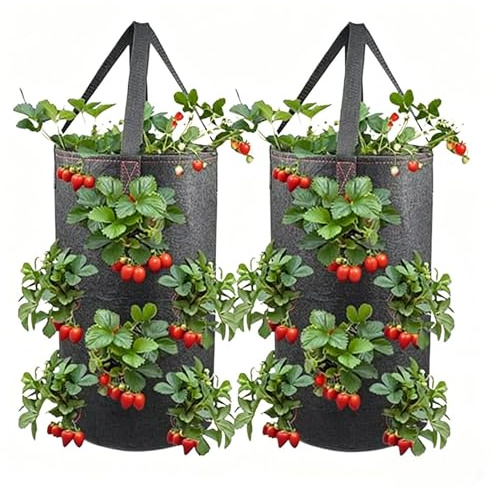 Jordgubbsodlingspåsar | 2 stycken 11 liters vertikala odlingspåsar med 11 planteringshål | Platsbesparande Jordgubbsplanteringspåsar | För Paprika Morötter Grönsaker Frukt Hallon Utomhus Trädgård Och