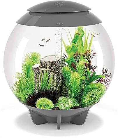 biOrb Halo 60 MCR grau