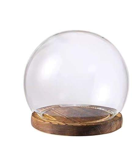Glass Display Tabletop Display Jars, Glass Dome Decorative Jars, Glass Dome Cloche With Solid Wooden Base, Bell Glass Jars For Flower Specimens Home Decor DIY(30cm)