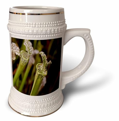 3dRose Floral Trumpet Pitcher Plant - Stein Mug, 18oz, 22oz, White