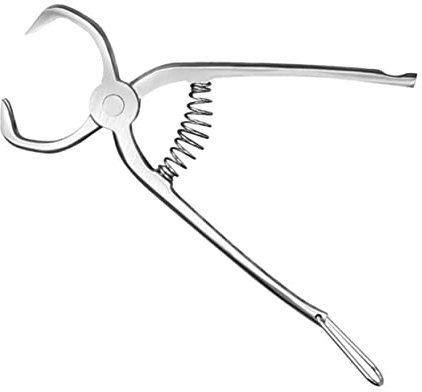 GOOHOCHY 1 Pc Pinze Da Tè in Acciaio Inossidabile Tè Utile Torta Di Tè Cinese Clip Da Tè Kungfu Porta Bustine Di Tè in Acciaio Inossidabile Pinze Per Barbecue Tè Pu'er Aperitivo