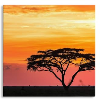 Paul Sinus Wandbild Afrikanischer Sonnenuntergang mit Akazie 80x80cm - Dramatische Abendstimmung, Savanne, Natur, Afrikazauber