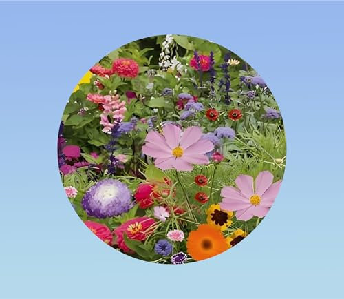 500 graines mélange fleurs gazon jardin japonais - soucis -zinnia -centaurée - lin -sauge ...