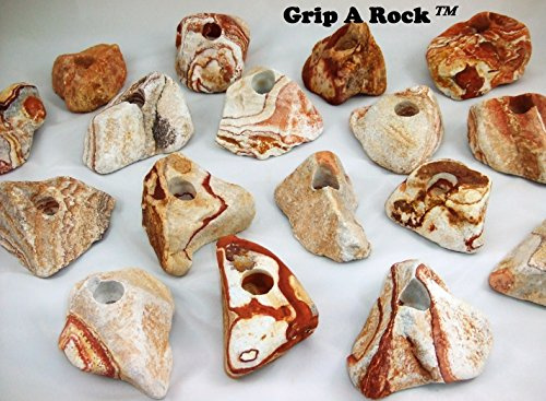 15 Rock Climbing Holds, Rock Climbing Equipment, Adult & Kids Climbing Wall, Bolt-ON