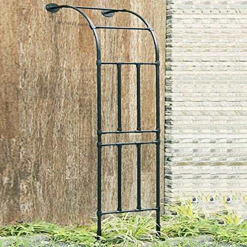 Arche De Jardin Demi Rond, Demi-Arche en Métal, Arceau Jardin Arche A Rosiers De Style Fer Forgé, Tonnelle De Jardin Robuste, pour Plantes Grimpante (Color : Noir, Size : 1.2x2.4m)