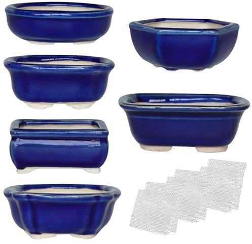 happy bonsai 6 pc Mini Glazed Pots Value Set + 6 Soft Mesh Drainage Screens