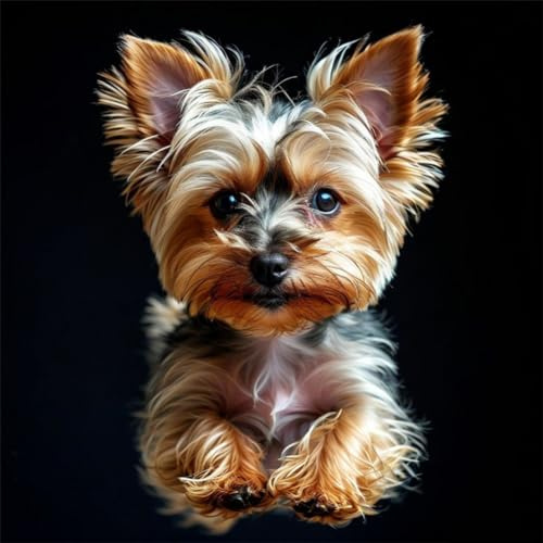 Yorkshire Terrier Diamond Painting Diamant Painting Bilder Erwachsene und Kinder Malen Nach Zahlen Crystal Arts Craft Cross Stickerei 5D Diamant Painting für Wand Dekor Diamant Malerei Hund 50x50cm