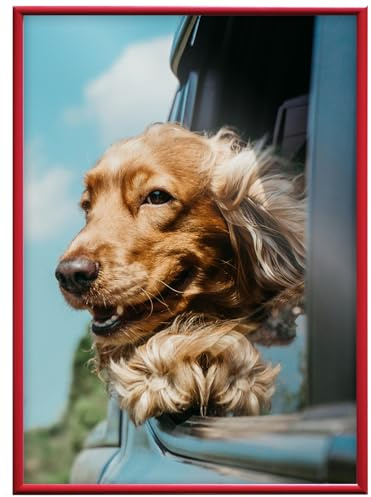 RAWWEST.BIS Bilderrahmen aus Aluminium 70x100 cm Fotorahmen Alurahmen Rot