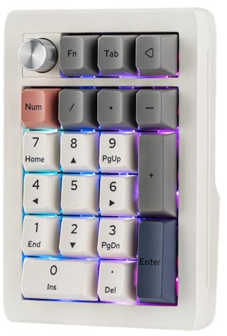 EPOMAKER EK21 Pavé Numérique Gasket Via, Numpad avec Batterie 1000mAh, BT 5.0/2.4GHz/Filaire Hot-Swap, Bouton en Alliage d'Aluminium, Programmable pour Win/Mac/Gaming (Blanc, Wisteria Linear Switch)