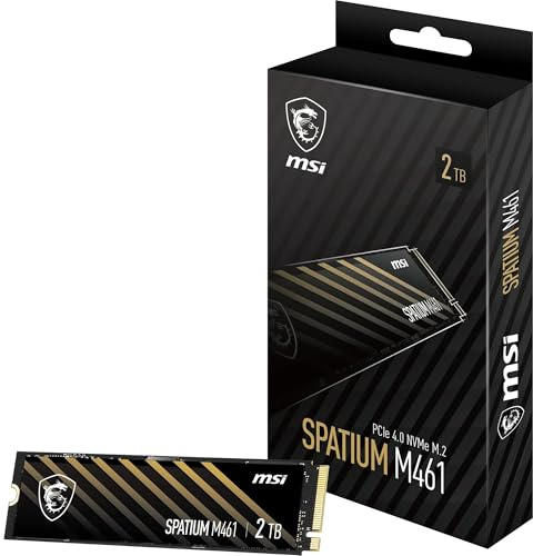 MSI SPATIUM M461 PCIe 4.0 NVMe M.2 2TB