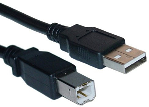 REY Cable USB de Impresora, Escáner, Disco Duro, USB Tipo B de 25 cm