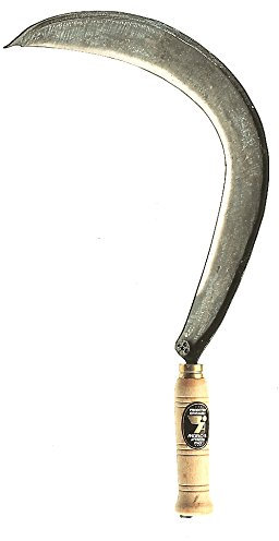 Angelo Bergamasco Falciola Toscana Nr.0