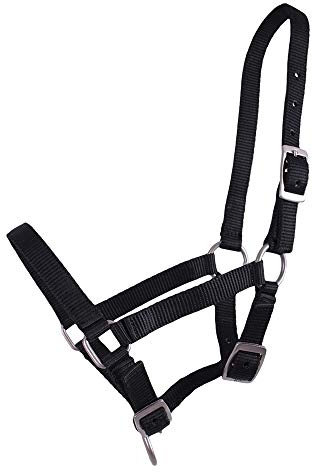QHP Nylonhalfter Fohlen-Halfter 3fach verstellbar stark (Warmblut-Fohlen, Schwarz)