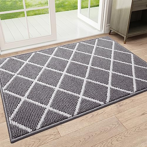 Finchitty Indoor Door Mat, Dirt Resistant and Absorbent, Low-Profile, Non-Slip, Washable Inside Floor Mats for Front Door, Back, and Entrance, 32 x 20, Grey