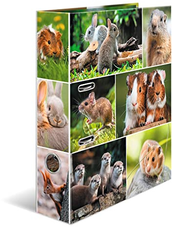 HERMA Ordner A4 Nagetiere Set, 10 Stück, 7 cm breit, Kinder Ringordner mit Tier Motiv, bunter Aktenordner mit Innendruck für Jungen und Mädchen
