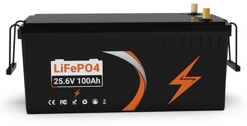 24 V 100 Ah LiFePO4 Lithium Battery, Built-in 100 A BMS, 15000 Cycles Battery, Max. 2560 W Charging Power, Perfect for Motorhome, Solar, Marine, Overland Transporter with Low Temperature Protection