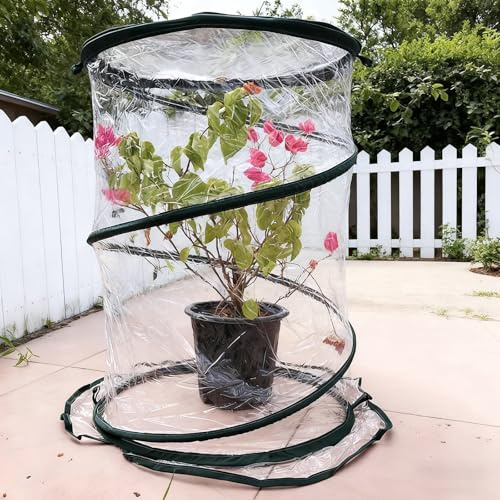 Mini Serra da Giardino Piccola Rete in PE Non Richiede Installazione con Cerniera Serra per Piante di Limone Pieghevole Adatto per Piante, Fiori e Ortaggi