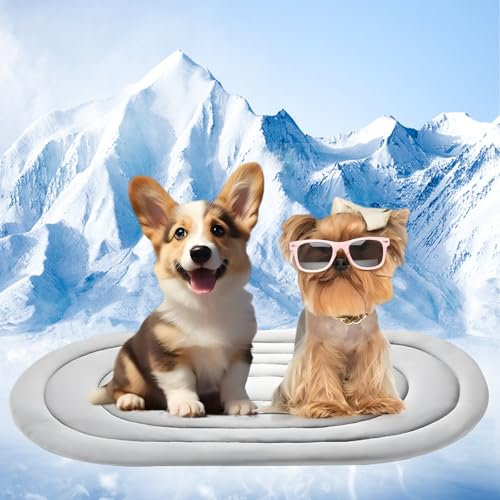 2-in-1 Dog Mat Large 90×50cm, Durable Pet Mat for Winter & Summer Use, Non-Toxic Soft Warm Pad with Leakproof & Scratch-Resistant Design, Indoor/Outdoor Bed Mattress for Dogs Cats, Dual-Side Design