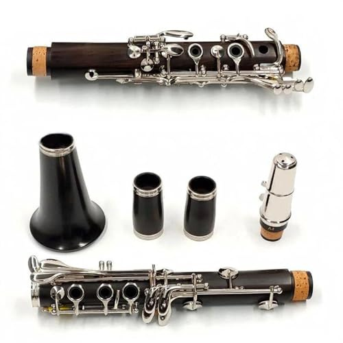 Klarinette Instrument 17 Tasten B-Klarinette, Ebenholzrohrkörper, Versilberte Kupfertasten, Klarinette, Holzblasinstrument