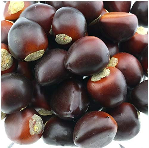 Gresorth 50 PCS Artificiale Castagna Falso Noci Realistica Modello Casa Cucina Decorazione