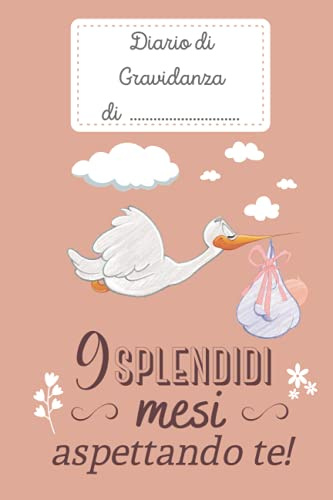 Diario di Gravidanza: emozioni e ricordi di 9 mesi unici, con pagine da compilare, foto e consigli. Formato 6x9 (15,24 x 22,86 cm), (Cover cicogna)