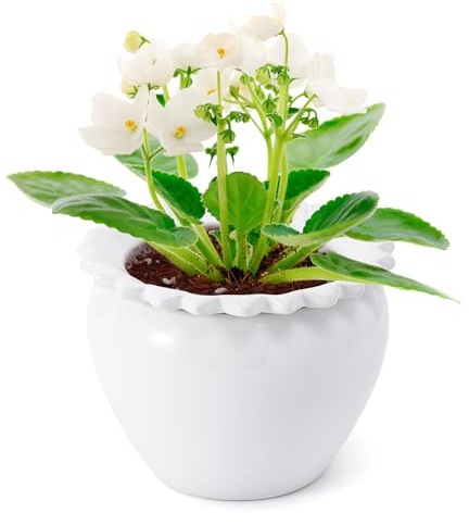 Lovely Ran Self Watering Plant Pot African Violet Pots Ceramic 6.5 * 4.6 * 4 inch White for Indoor Flowers and Plants Simple Plant Self Watering Pot Modern Decor Pots Efficient Absorption Water
