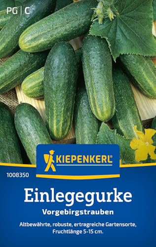 Kiepenkerl Einlegegurkensamen Vorgebirgstrauben 1008350 – Robuste und ertragreiche Gartensorte - Fruchtlänge 5-15 cm - Gemüsesamen, Samen Gemüse, Saatgut