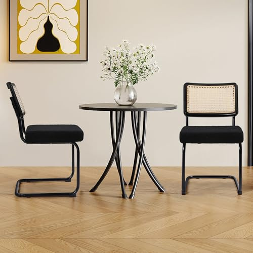 KROFEM Dining Chairs Set of 2,Modern Rattan Kitchen Chairs,Black