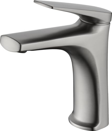 IMEX BDD055-1AC DELOS Monomando Lavabo (Acero S316)