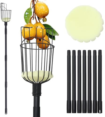 Asta raccoglifrutta con Cesto - 257cm Regolabile per Alberi con Manico in Acciaio Inox Raccoglitore di Mele Strumento per la Raccolta di Frutta Mango Pera Arancia Avocado, Nero