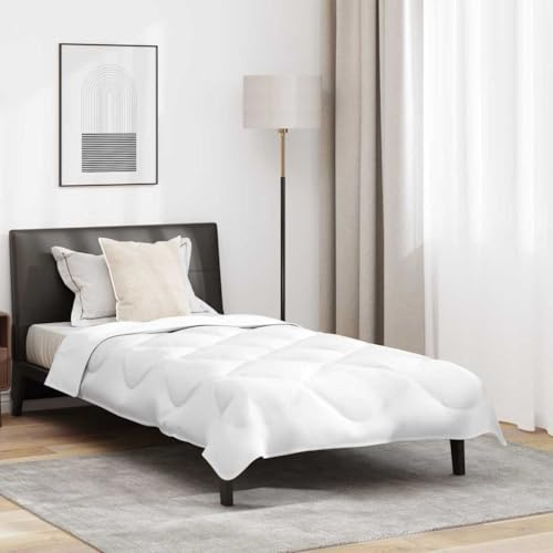 Générique Duvet d'été avec Oreiller 2 pcs Blanc 155 x 220 cm Microfibre,Maison & Jardin, Linge, Literie, Dessus-de-lit & couettes, Blanc (Poids 3.02KG)