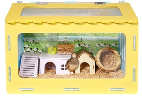 Brooderbox Para Polluelos - Residencia De Animales Resistente A Roedores,Cultivo Para Polluelos Como Mascotas, Adultos Principiantes Con Espacio Limitado En Ciudad Casa Garaje