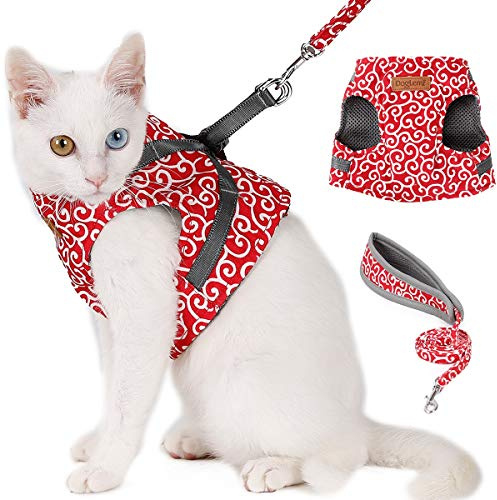 ETOPARS Katzengeschirr und Leine Set, Verstellbare Katzenweste, Jacke für Kätzchen, Katzenbrustgeschirre Ultraleicht, ausbruchsicher, verstellbar, für Haustiere Welpen