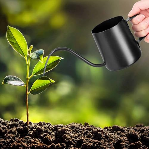Norhogo 350ML Schwarz Gießkanne Klein Zimmerpflanzen, Mini Gießkanne, Edelstahl, rostfrei, mit langem Schwanenhals-Ausguss, Garten Gießkanne für Zimmerpflanzen Sukkulenten