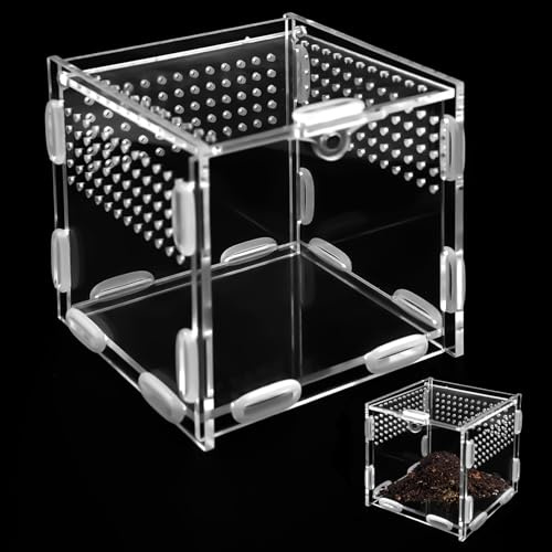 Reptile Fütterungsbox,10×10×10 cm Acryl Terrarium Schnecken | Zusammengebaute Springspinne Terrarium Set,Acryl Insekten Faunarium,Mini Insektarium klein,für Springspinnen,Skorpion