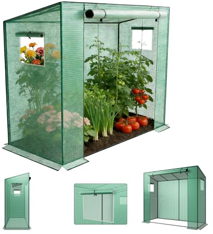 LZQ Växthus för trädgårdsväxthus, tomatväxthus, gångbart 200 x 80 x 150 cm, snet tak, växthus med PE-gallerfolie, tomathus, övervintringstält mångsidig drivhus presenning, grönt