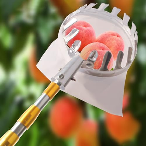 raccogli asparagi pinza frutta Raccoglitore Di Frutta In Metallo Argento, Palo Lungo Per La Raccolta Della Frutta Con Manico Telescopico A Cesto / Attrezzi Per Il Giardino E L'agricoltura/ Mela Aranci