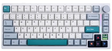 GK GAMAKAY TK75 V2 75% Gasket Leise Mechanische Tastatur mit TFT Bildschirm, Kabel/Bluetooth/Kabellos RGB Lichtbalken Hot-Swap-fähig 5-lagige Polsterung Gaming Tastatur (GamaKay Pegasus Switch)