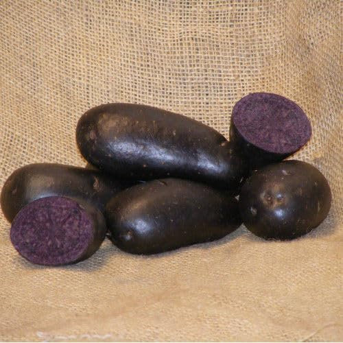 5Kg Freshly Dug September 2025! Irish Violetta Potatoes Delivered to Your Door. Violetta Potatoes, Ready to EAT! Fresh Harvest Grown With Love In Ireland